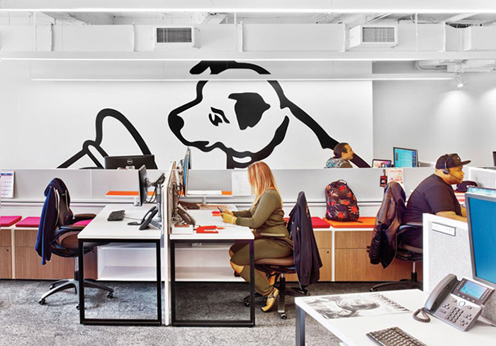 常见的办公室装修设计