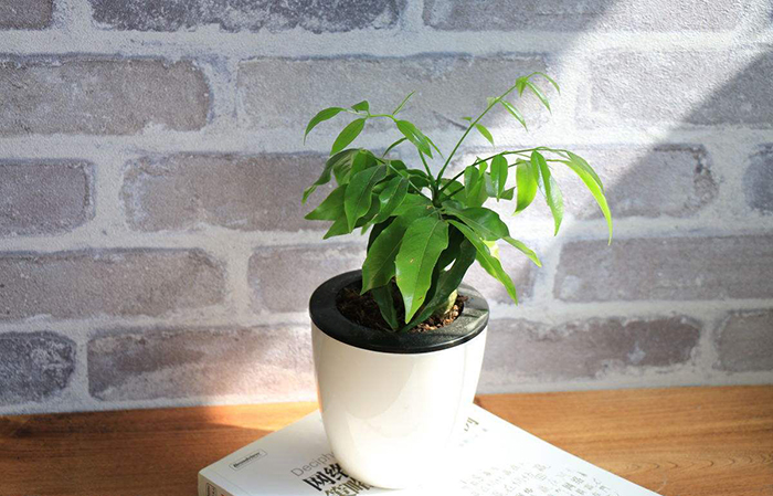 广州办公室装修公司